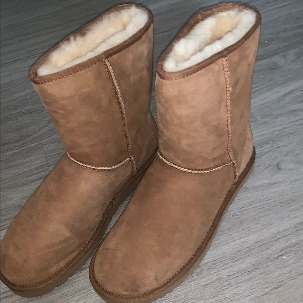 Classic Short Brown Uggs